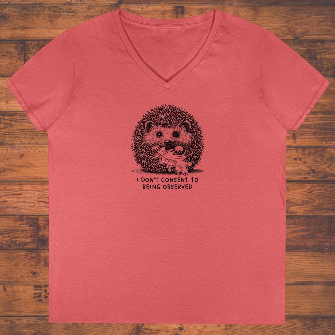 Silent Shelter Ladies' V-Neck