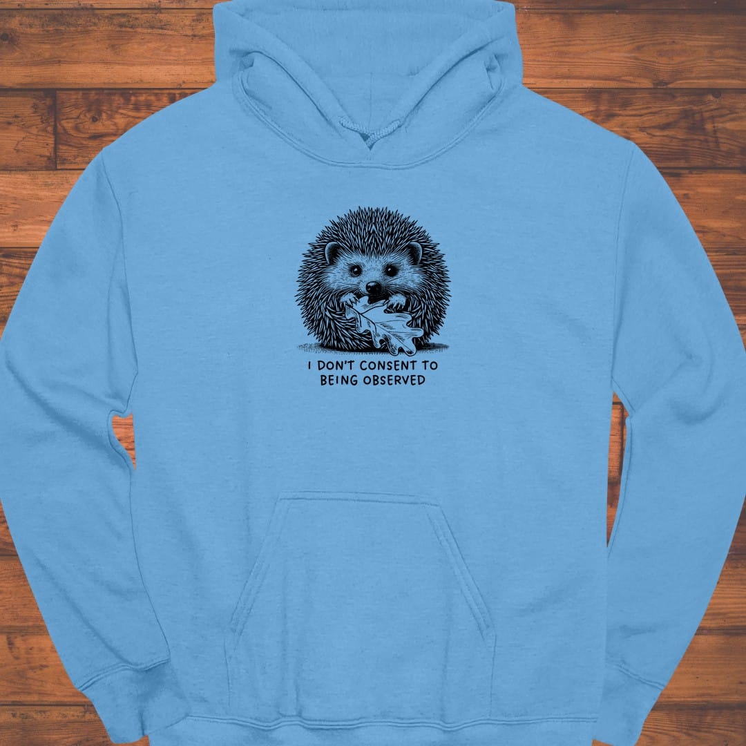 Silent Shelter Hoodie