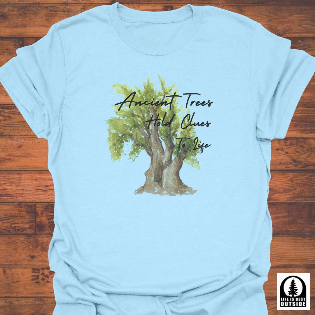 Ancient Trees T-Shirt