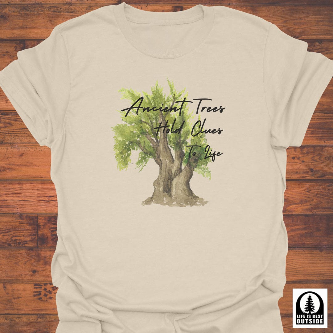 Ancient Trees T-Shirt