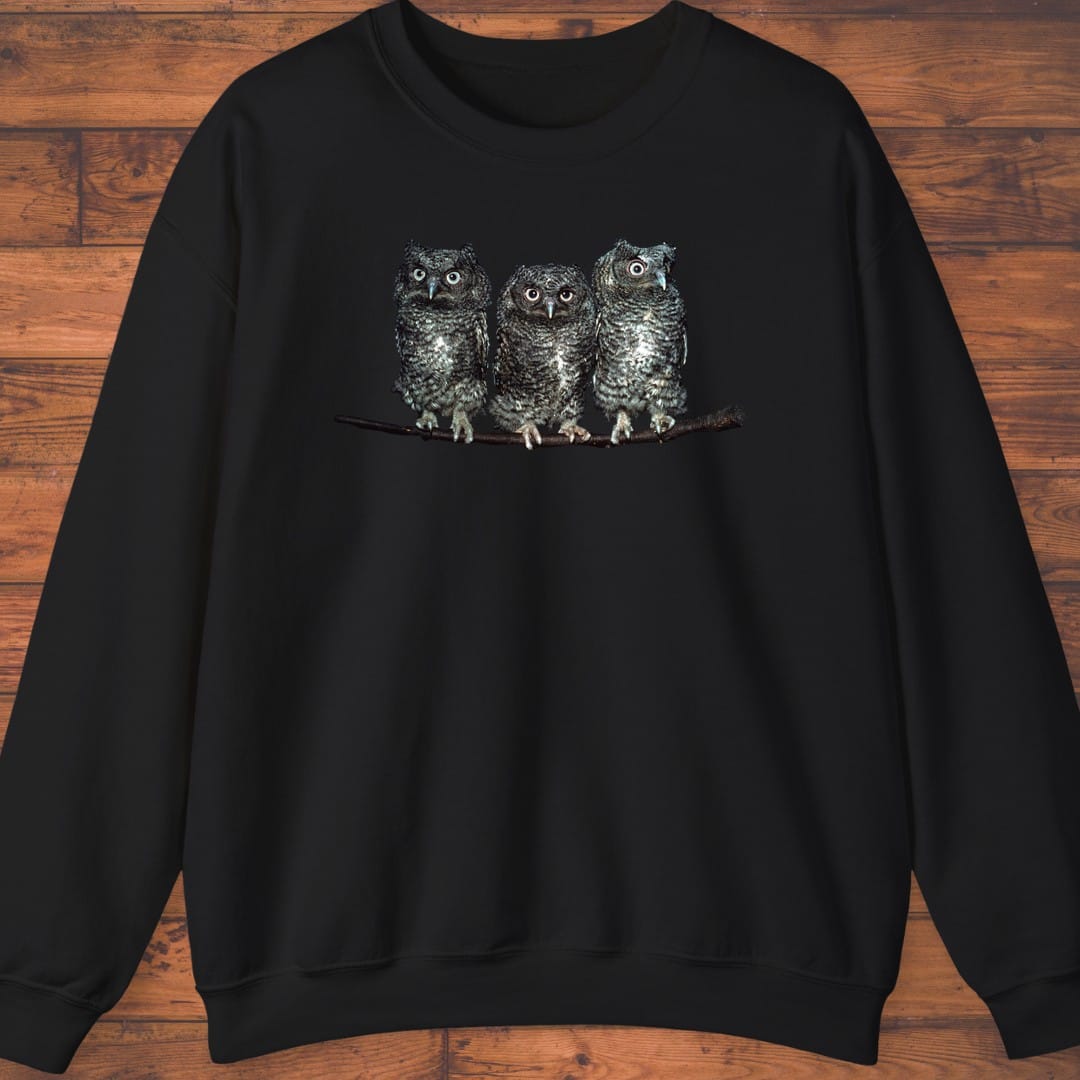 The Night Council Sweatshirt