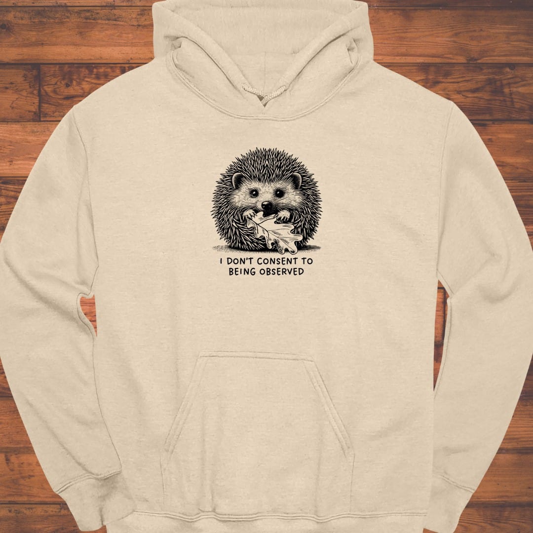 Silent Shelter Hoodie